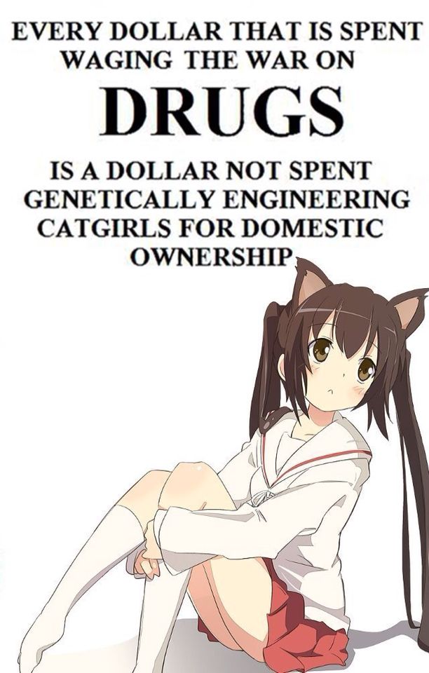 EVERY DOLLAR THAT IS SPENT
WAGING THE WAR ON

DRUGS

IS A DOLLAR NOT SPENT
GENETICALLY ENGINEERING
CATGIRLS FOR DOMESTIC