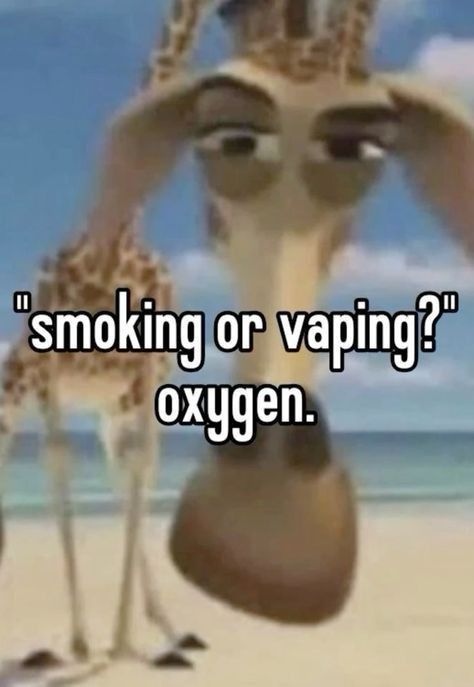 14 gen 2025 - Questo Pin è stato scoperto da skyrus. Scopri (e salva) i tuoi Pin su Pinterest.