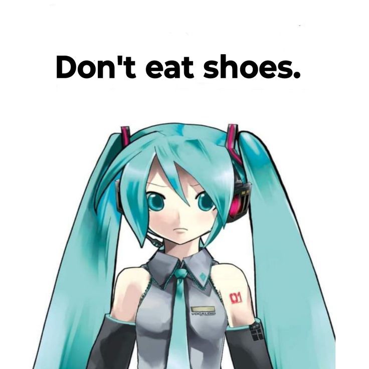 Don't eat shoes.