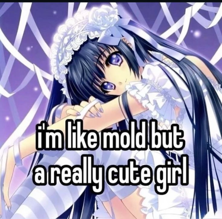 i'm like mold but
a really cute girl