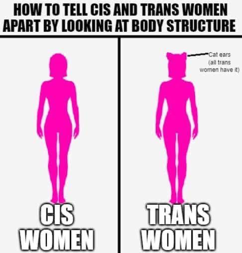 HOW TO TELL CIS AND TRANS WOMEN
APART BY LOOKING AT BODY STRUCTURE
