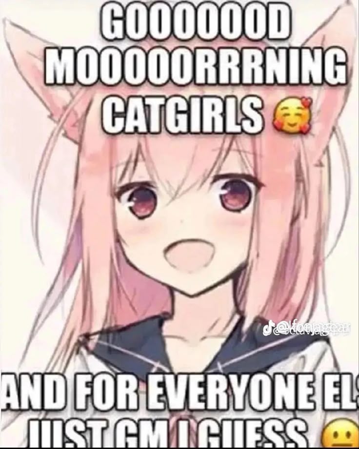 GOOOOOOD
MOOOOORRRNING
CATGIRLS 🥰

AND FOR EVERYONE ELSE
JUST GM I GUESS 😐