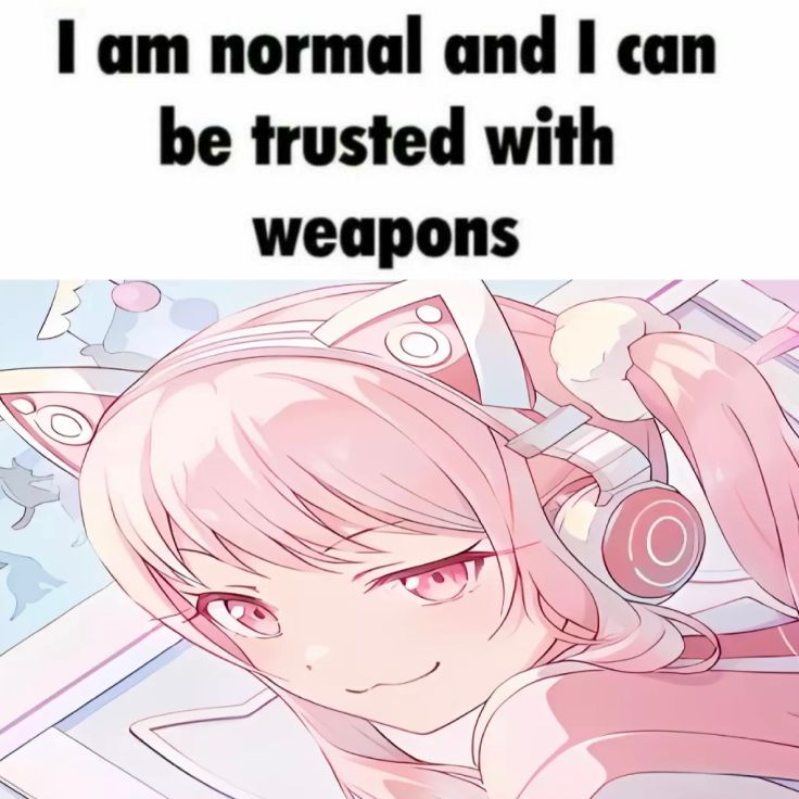 lam normal and | can
be trusted with
weapons

o ™~™ ~\ ™~
( . A : ~ _
/ C | S\ \ QN
en _ oe yy ; a
————— \ ‘
SD