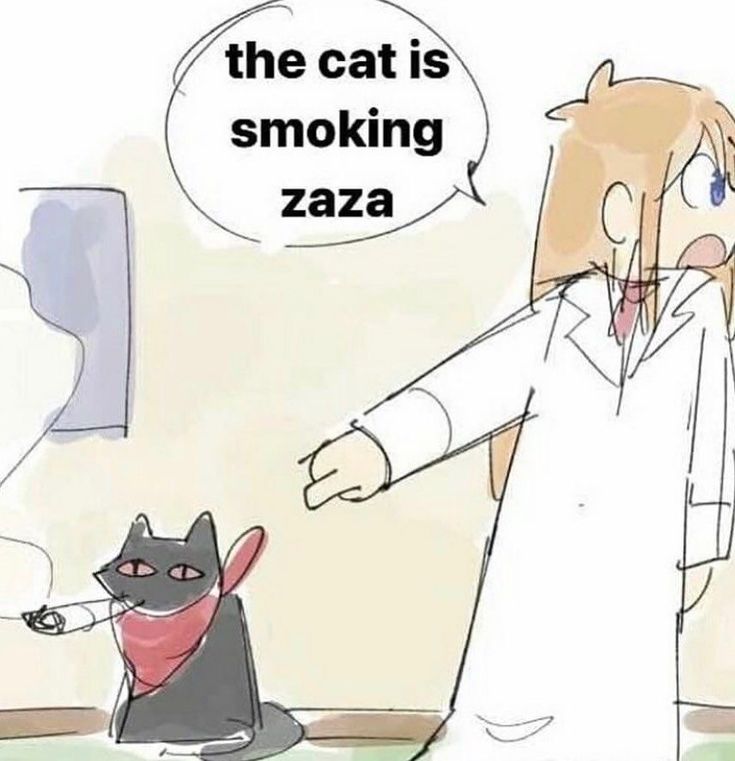 the cat is
smoking
zaza