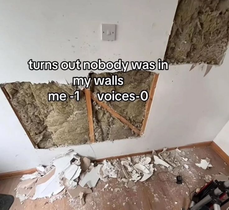 turns out nobody was in
my walls
me -1
voices-0