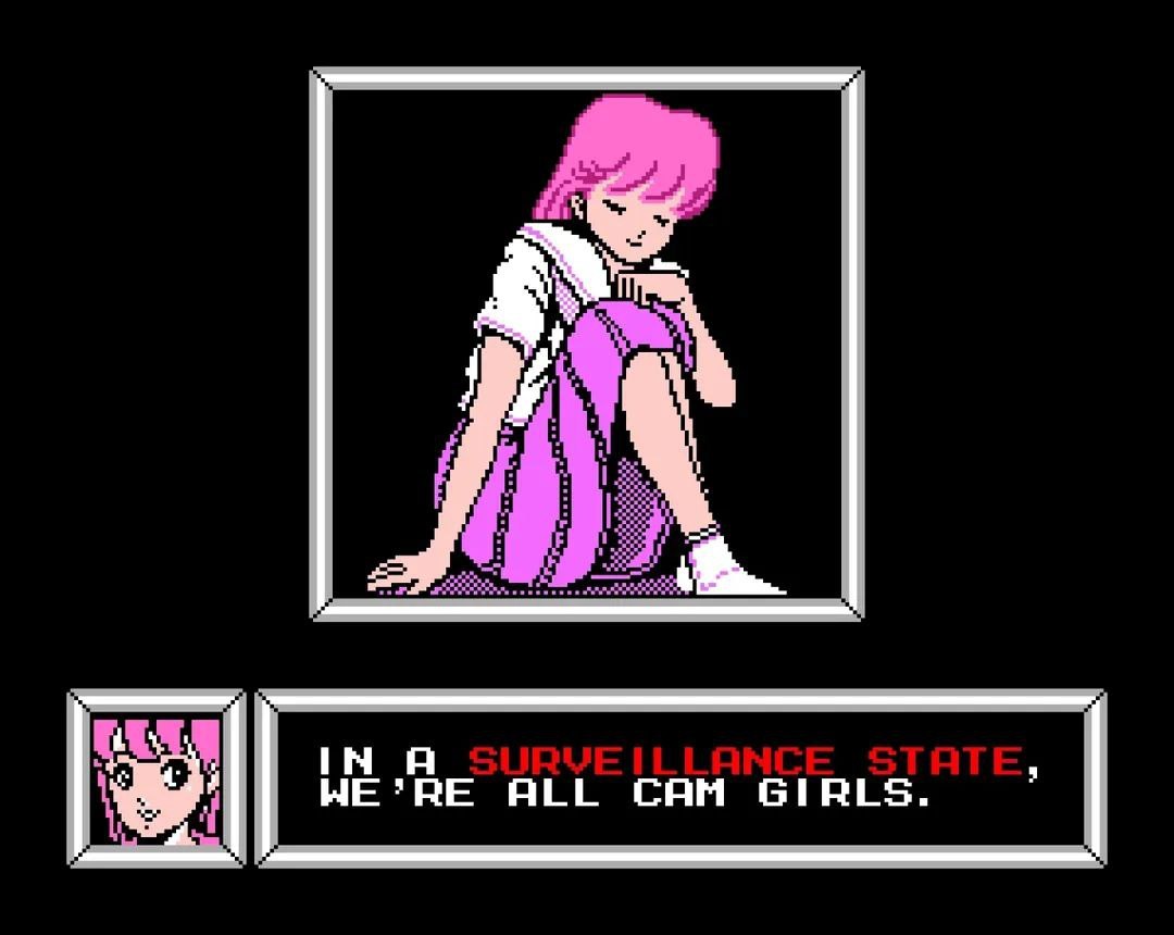 IN A SURVEILLANCE STATE,
WE'RE ALL CAM GIRLS.