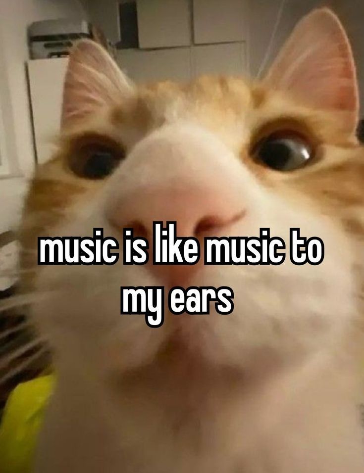 music is like music to
my ears