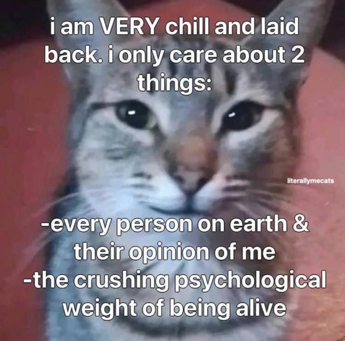 i am VERY chill and laid
back. i only care about 2
things:

-every person on earth &
their opinion of me
-the crushing psychological
weight of being alive

literallymecats