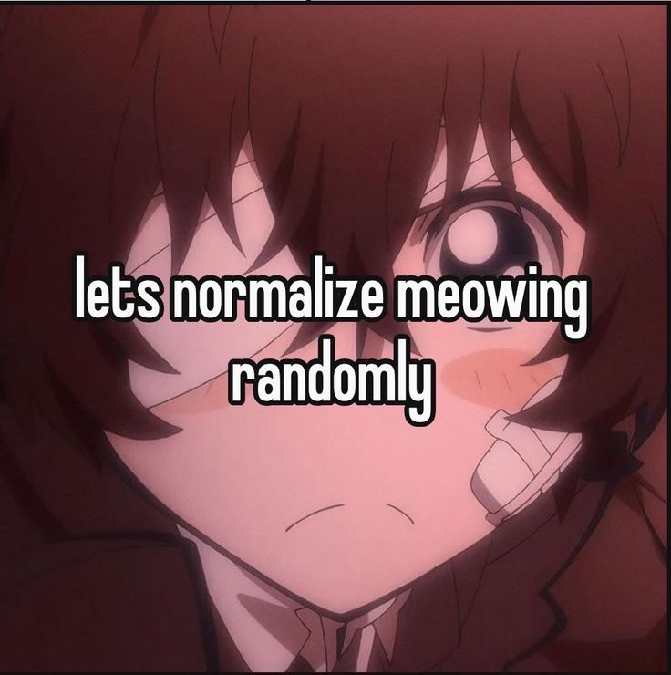 lets normalize meowing
randomly