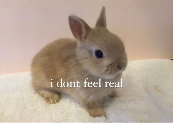 i dont feel real