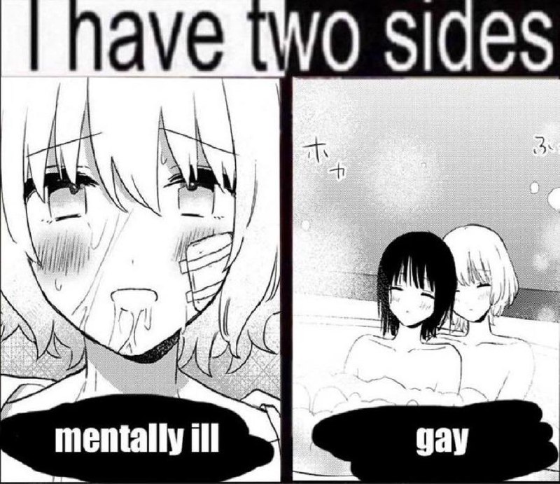 I have two sides

mentally ill
gay