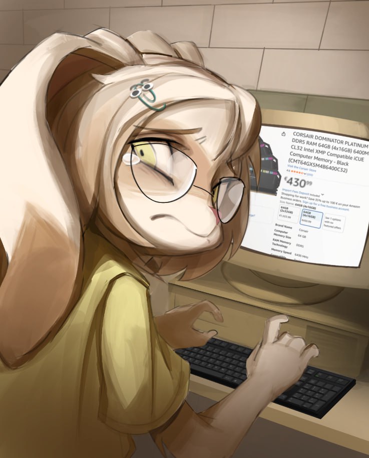 she thought of buying some ram sticks
she didn't know that the prices skyrocketed
she is mad!!!!