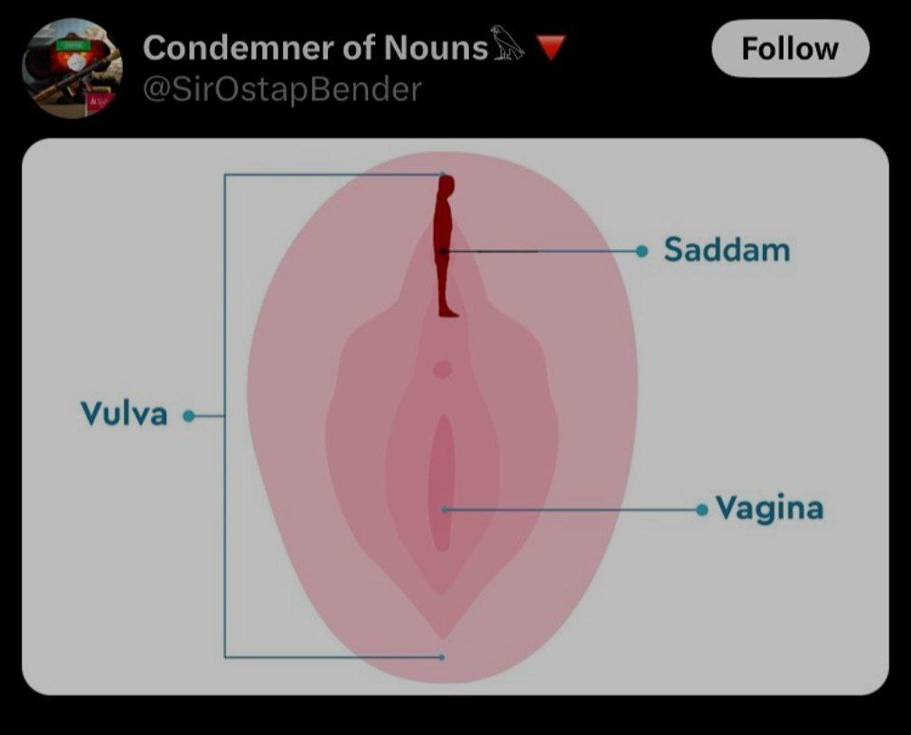 Condemner of Nouns
@SirOstapBender

Saddam
Vulva
Vagina