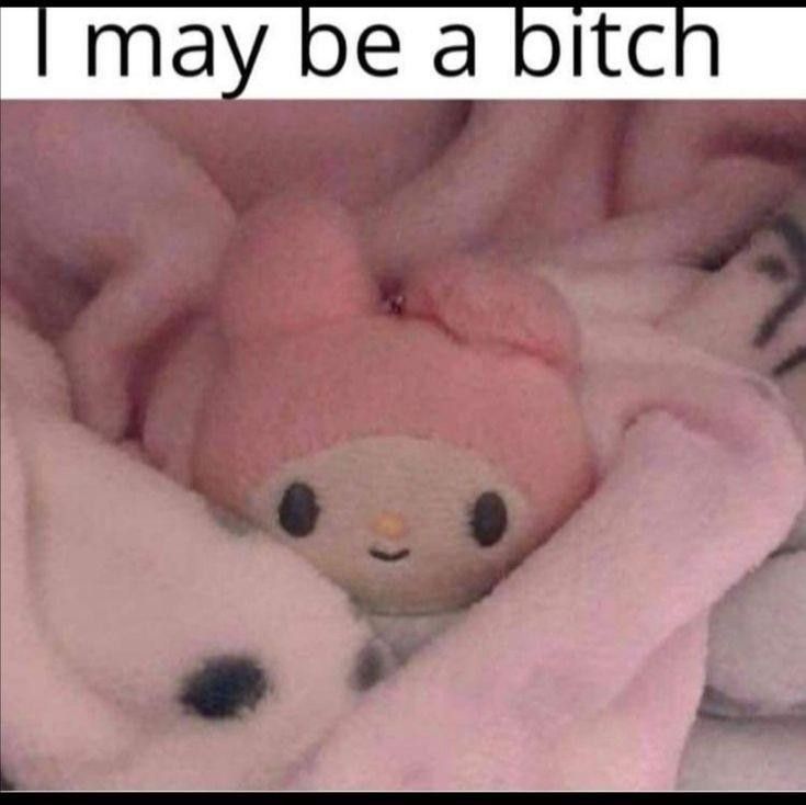 I may be a bitch