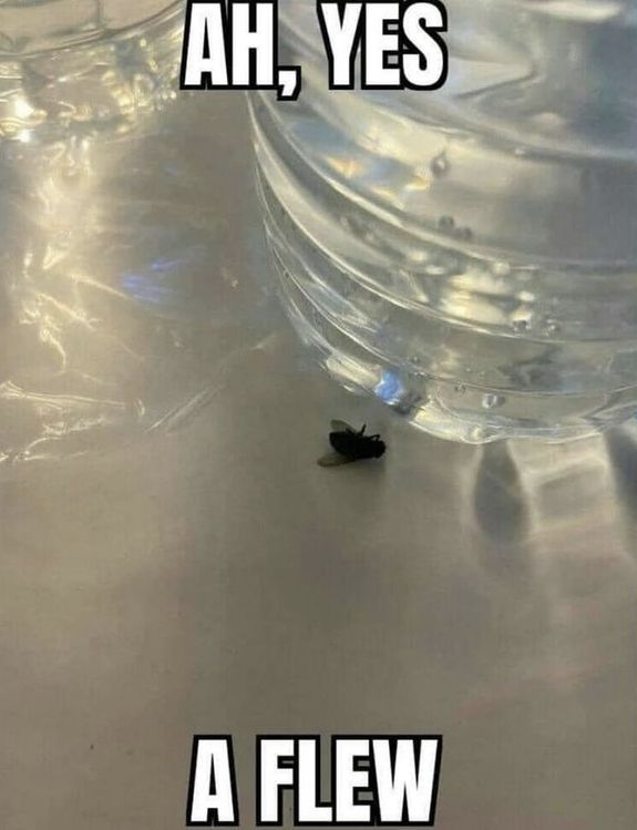 This Pin was discovered by Idle User. Discover (and save!) your own Pins on Pinterest.