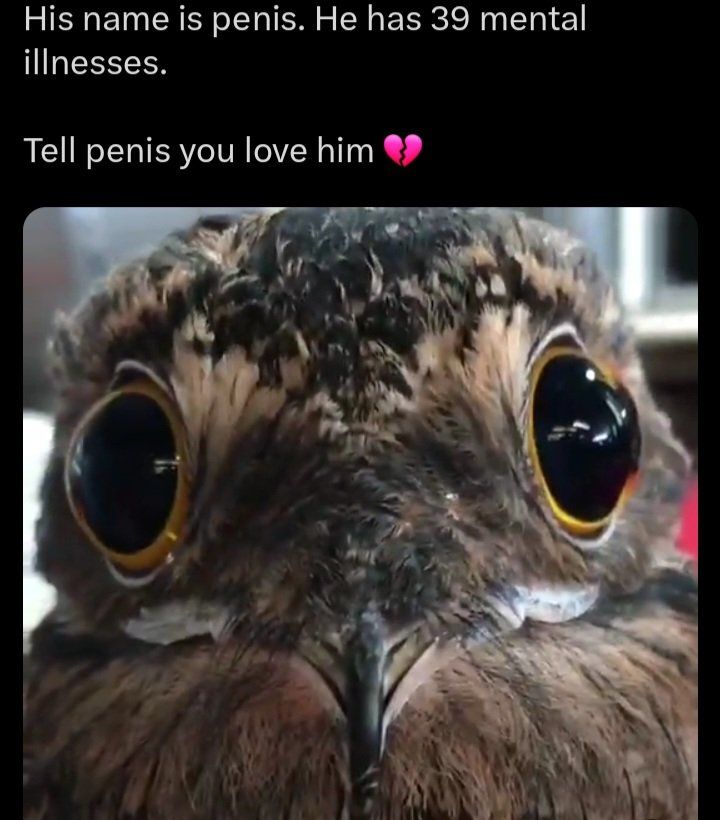 May 22, 2025 - This Pin was discovered by Mr. Anonymous. Discover (and save!) your own Pins on Pinterest