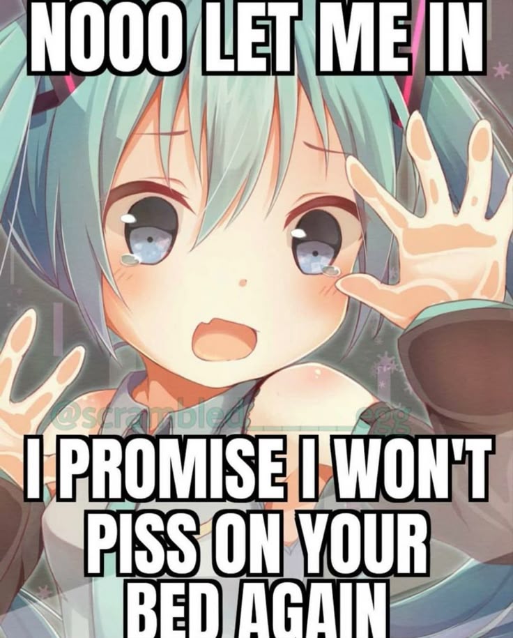 This Pin was discovered by phi ★. Discover (and save!) your own Pins on Pinterest