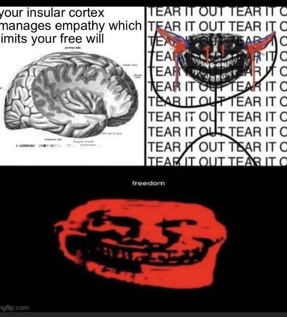 This Pin was discovered by wh1teboard. Discover (and save!) your own Pins on Pinterest