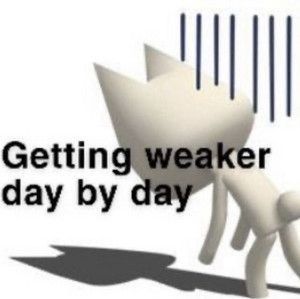 This Pin was discovered by ❦. Discover (and save!) your own Pins on Pinterest