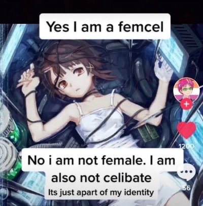 Yes lam a femcel

_~ also not celibate
Its just apart of my identity
‘i f