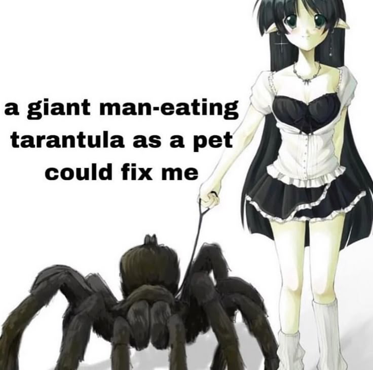 a giant man-eating
tarantula as a pet
could fix me

N