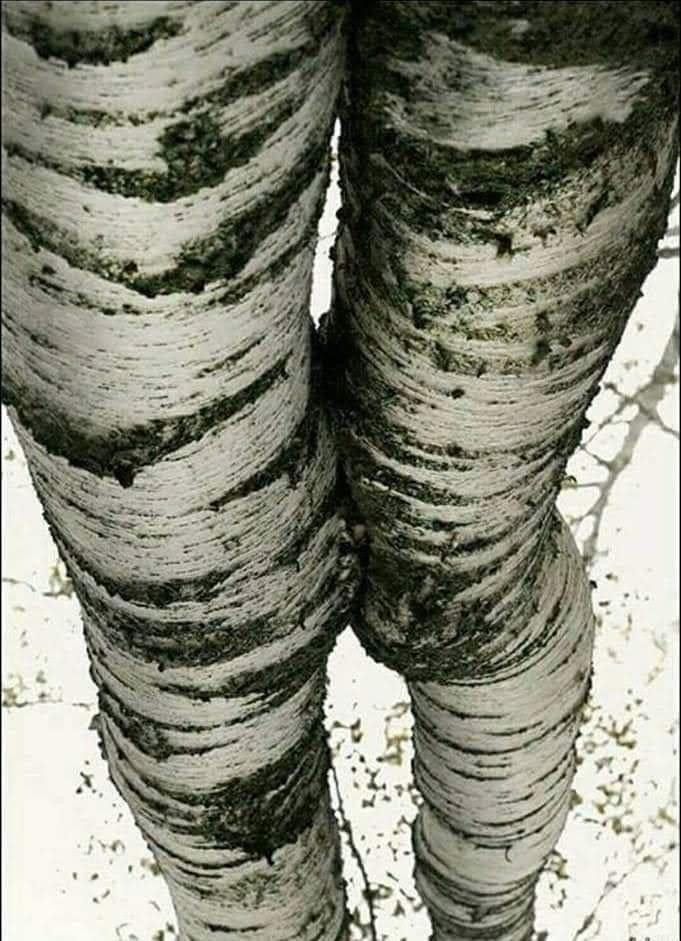 このピンは、TORGIS Pedersenさんが見つけました。あなたも Pinterest で自分だけのピンを見つけて保存しましょう！