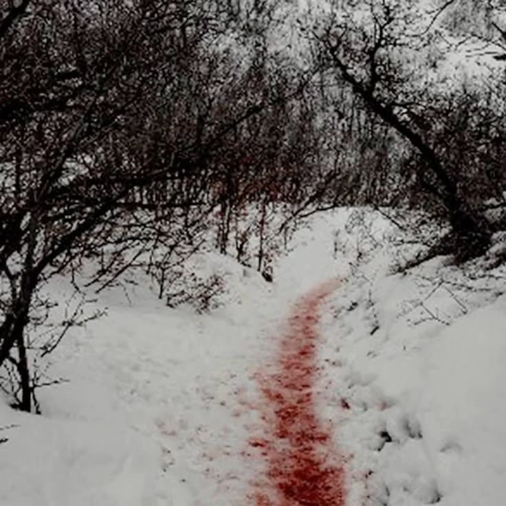 Автор пина:k. Находите и прикалывайте свои пины в Pinterest!