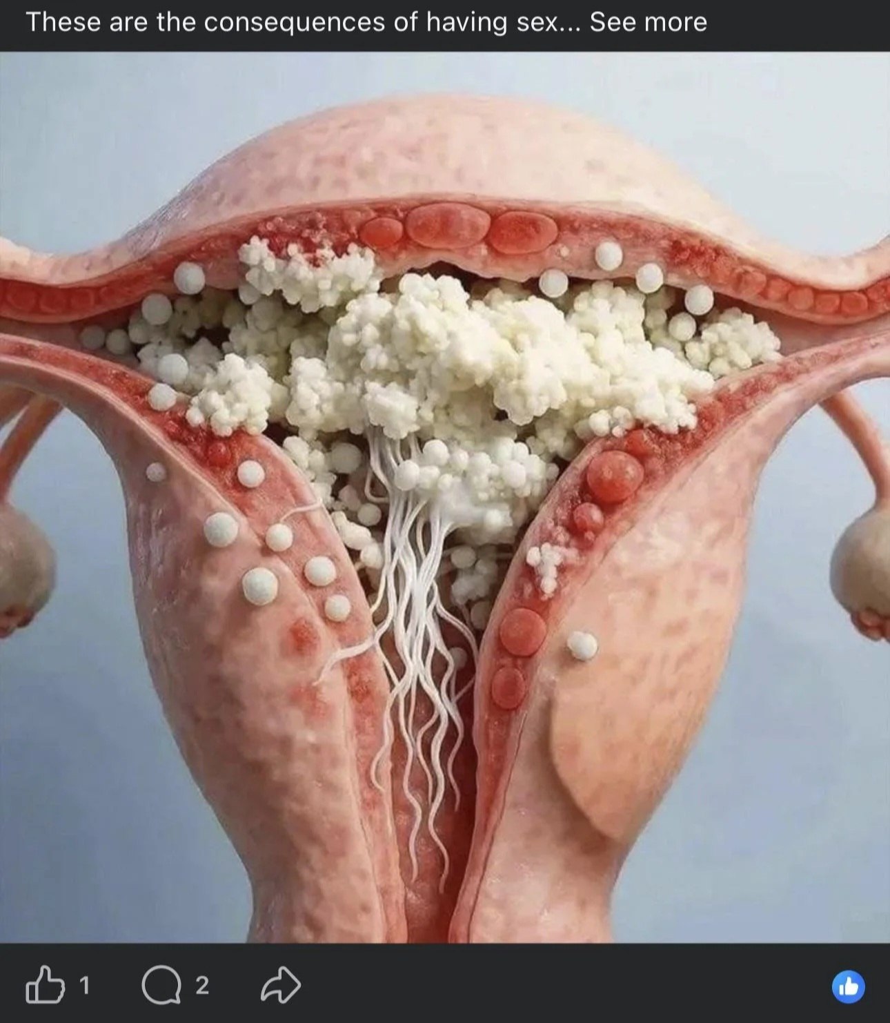 🤮🤮🤮🤮🤮🤮