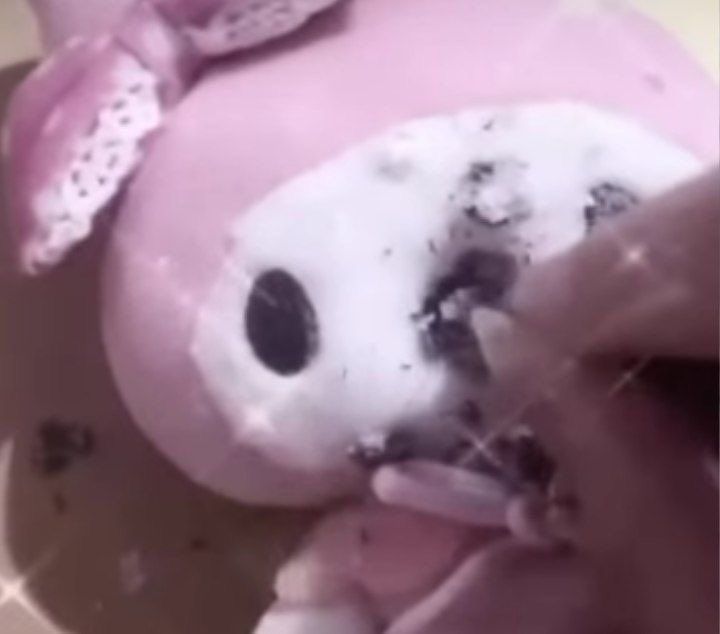 3 gen 2026 - Questo Pin è stato scoperto da 𝐌𝗂ᥣk. Scopri (e salva) i tuoi Pin su Pinterest.