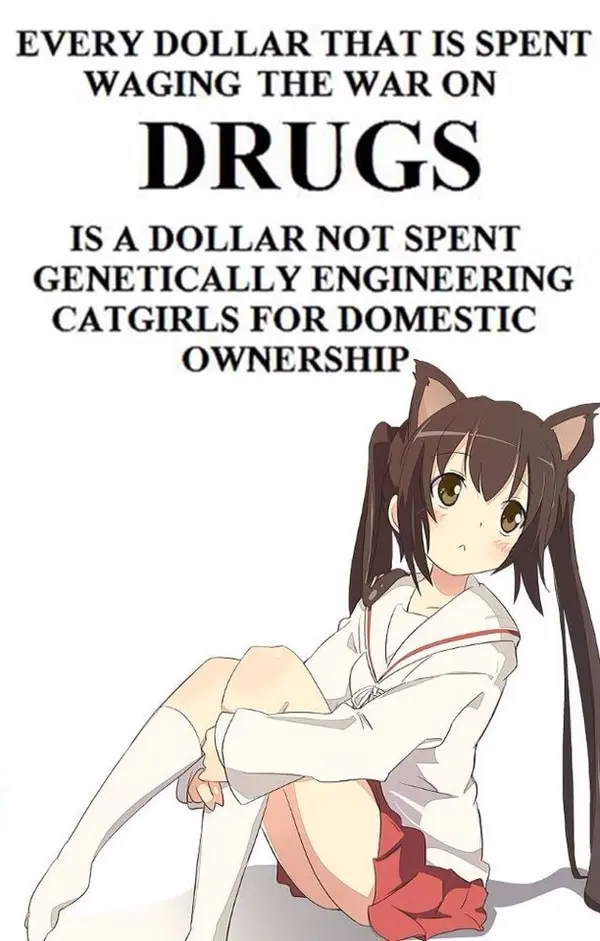 EVERY DOLLAR THAT IS SPENT
WAGING THE WAR ON

DRUGS

IS A DOLLAR NOT SPENT
GENETICALLY ENGINEERING
CATGIRLS FOR DOMESTIC