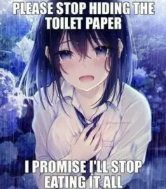 EASE STOP HIDI
y TOILET PAPER
g i :

9) OM