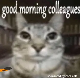 da qualche giorno il nuovo zoomer manda questi subito dopo il buongiornissimo di HR