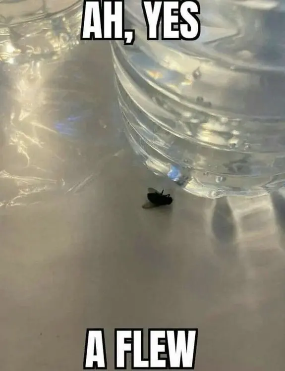 This Pin was discovered by Idle User. Discover (and save!) your own Pins on Pinterest.