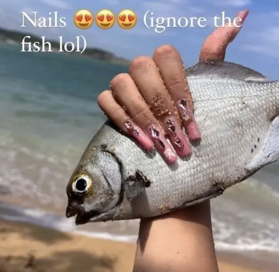 Feb 4, 2025 - This Pin was discovered by 4vajame5. Discover (and save!) your own Pins on Pinterest