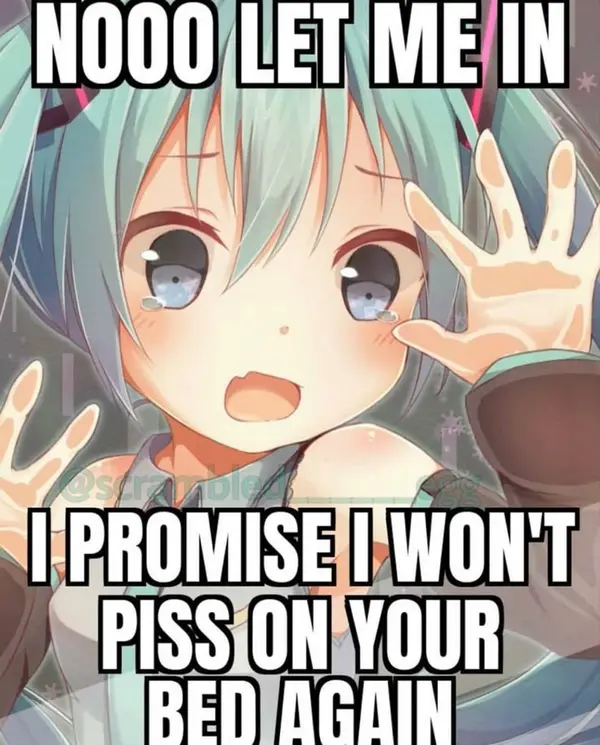 This Pin was discovered by phi ★. Discover (and save!) your own Pins on Pinterest