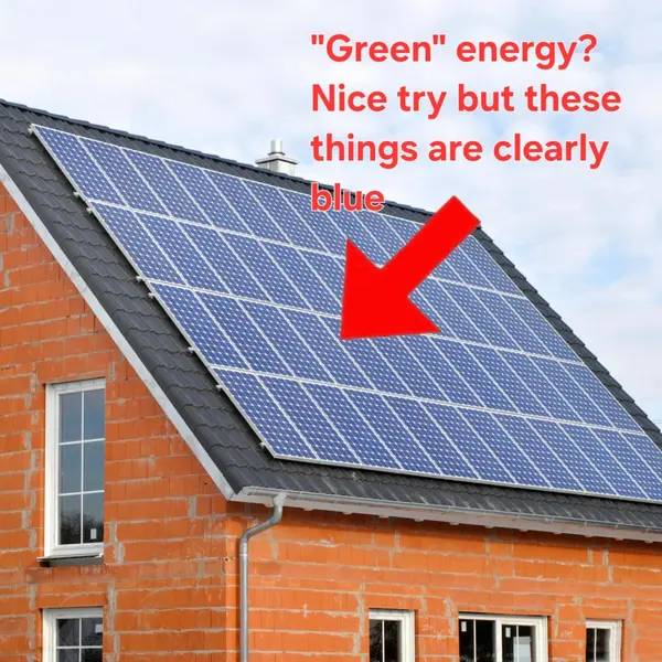 By Manuel, fornitore ufficiale
@gastabot