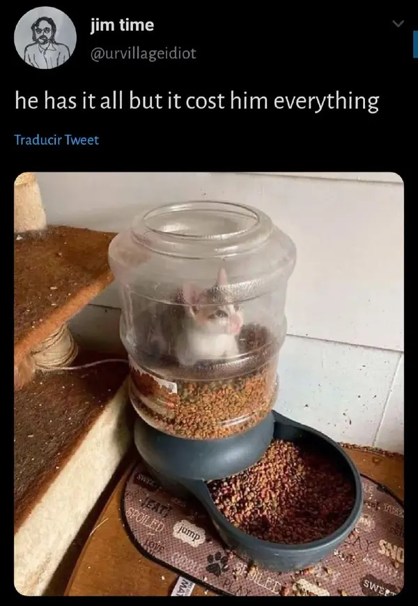 By Manuel, fornitore ufficiale
@gastabot