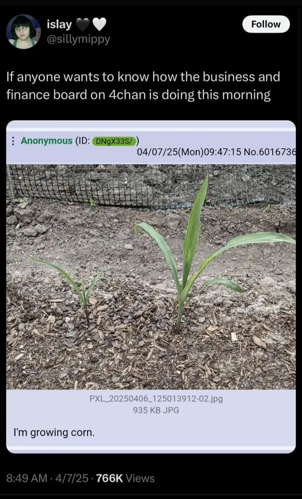 By Manuel, fornitore ufficiale
@gastabot