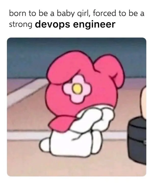 born to be a baby girl, forced to bea
strong devops engineer